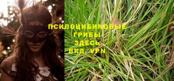 кристаллы Абаза